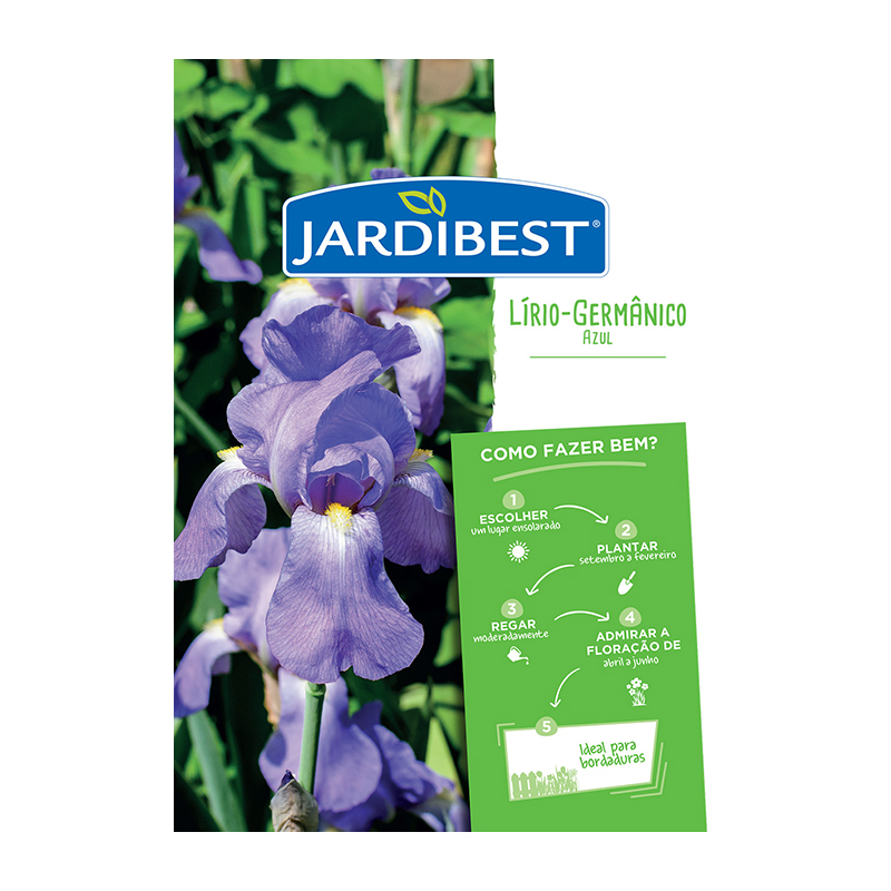 JARDIBEST - Bolbo Lírio-Germânico Azul