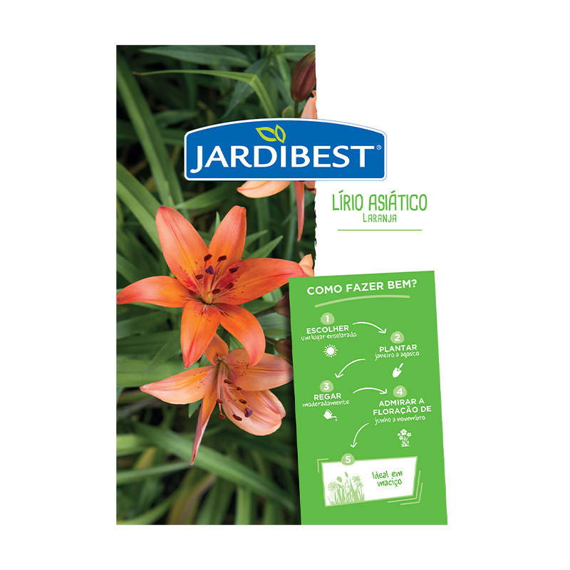 JARDIBEST - Bolbo Lírio-Asiático Laranja