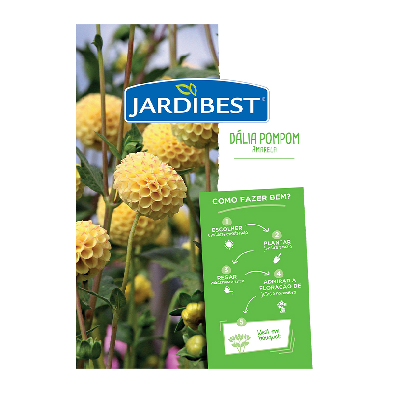 JARDIBEST - Bolbo Dália Pompom Amarela