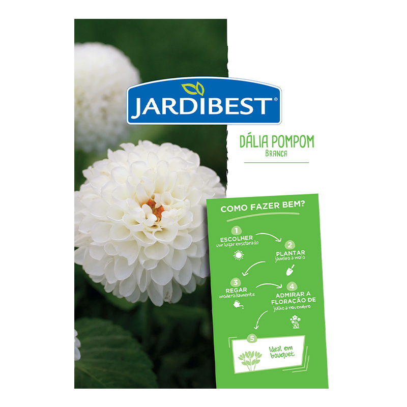 JARDIBEST - Bolbo Dália Pompom Branca