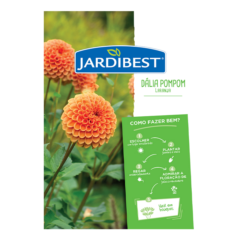 JARDIBEST - Bolbo Dália Pompom Laranja