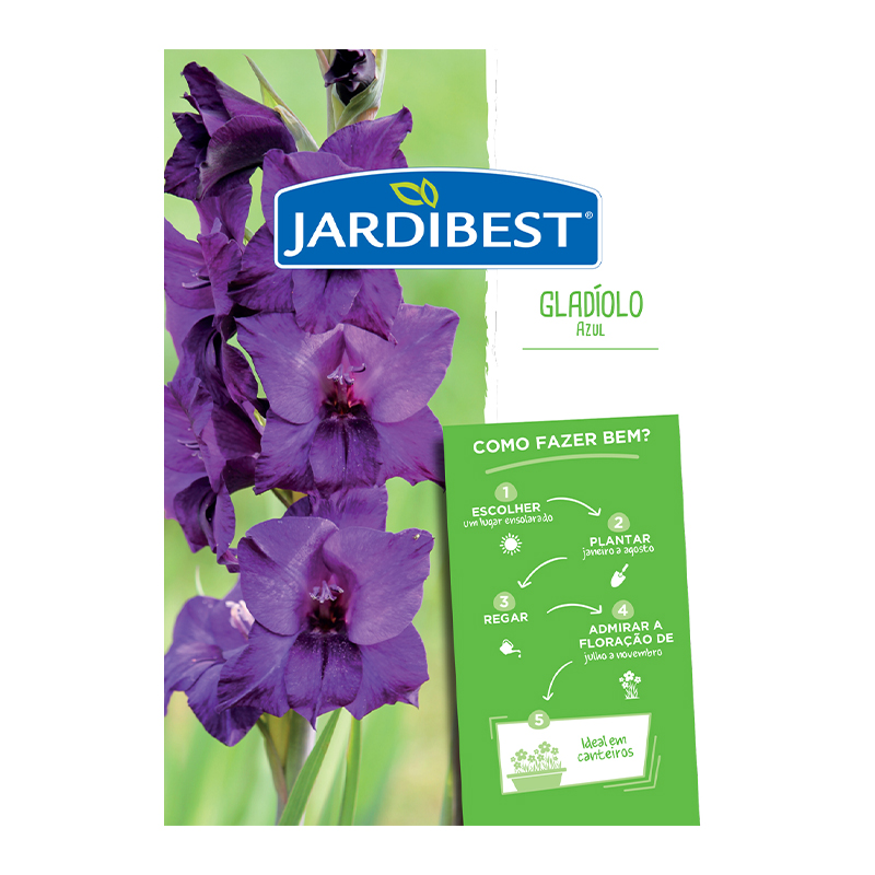 JARDIBEST - Bolbo Gladíolo Azul