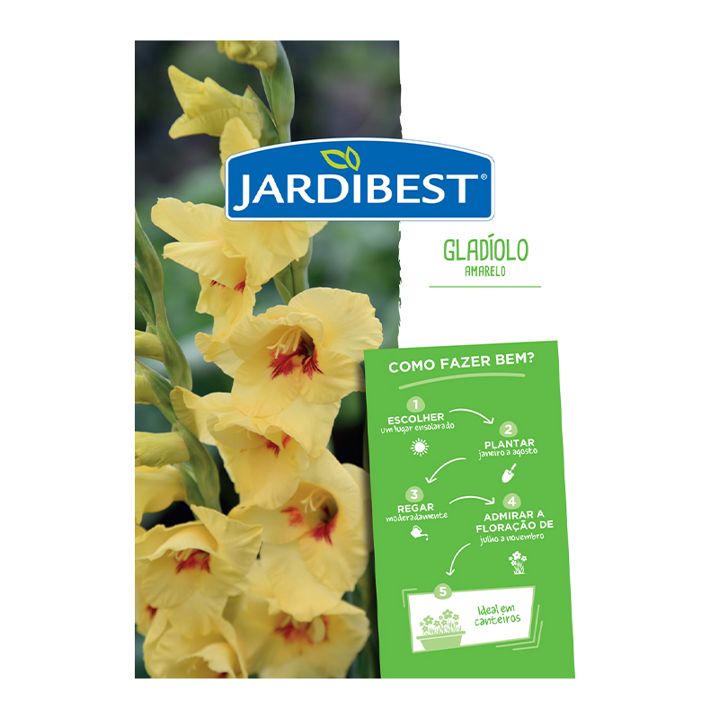 JARDIBEST - Bolbo Gladíolo Amarelo