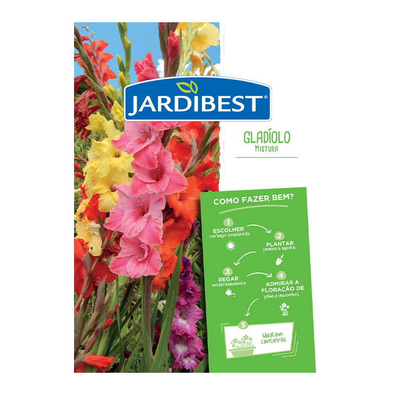 JARDIBEST - Bolbo Gladíolo Mistura