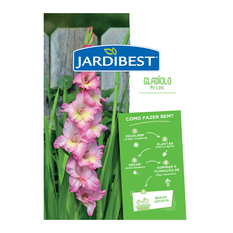JARDIBEST - Bolbo Gladíolo My Love