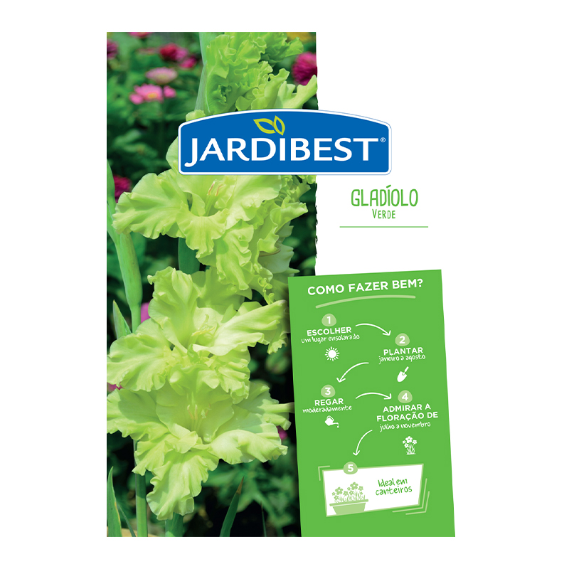 JARDIBEST - Bolbo Gladíolo Verde