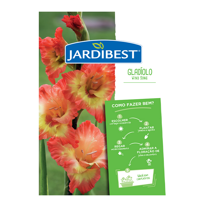 JARDIBEST - Bolbo Gladíolo Wind Song