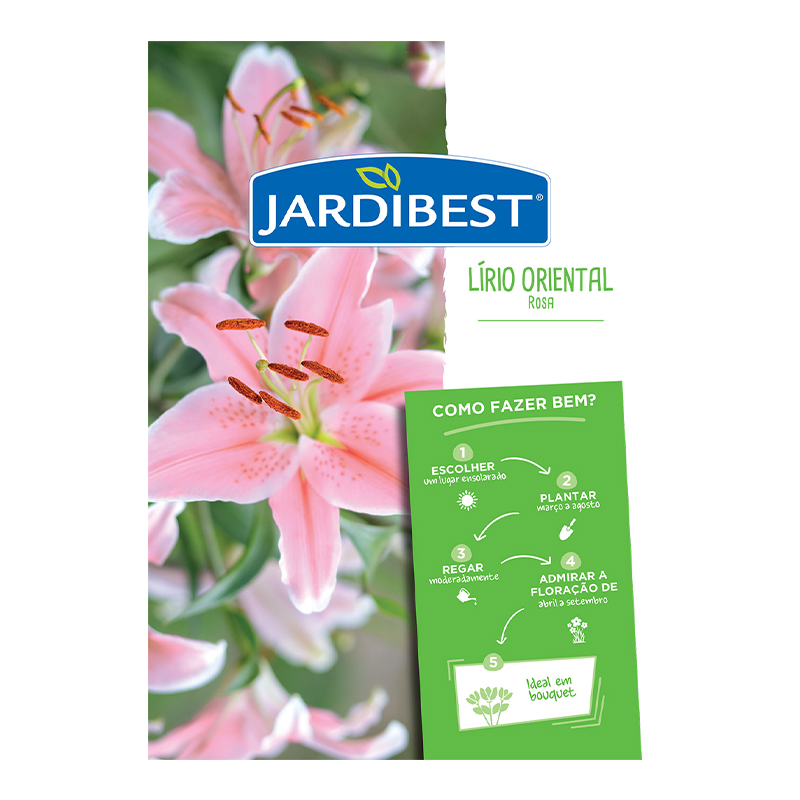 JARDIBEST - Bolbo Lírio Oriental Rosa