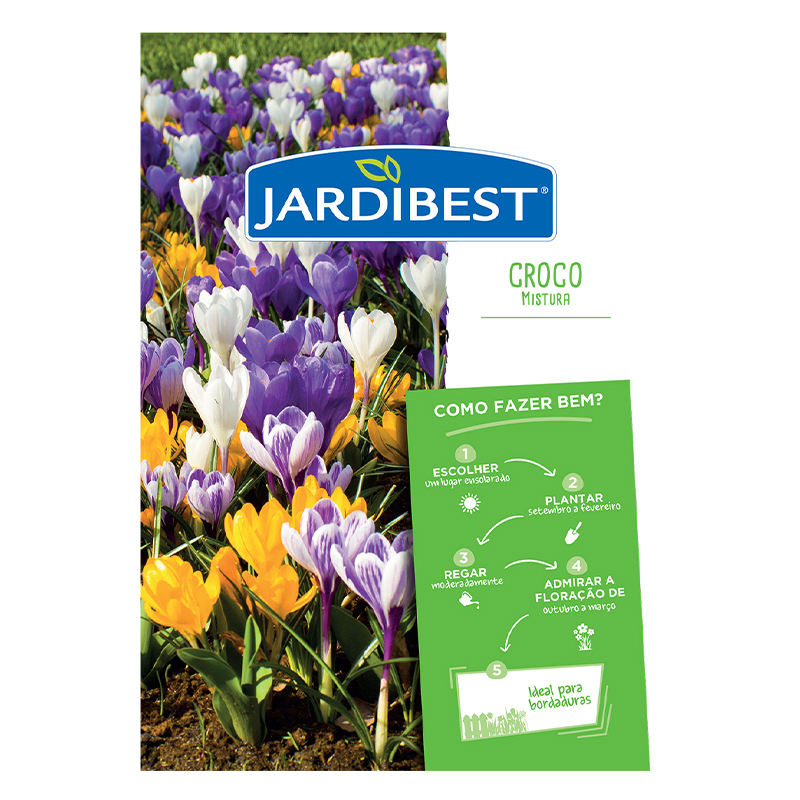 JARDIBEST - Bolbo Crocus Mistura