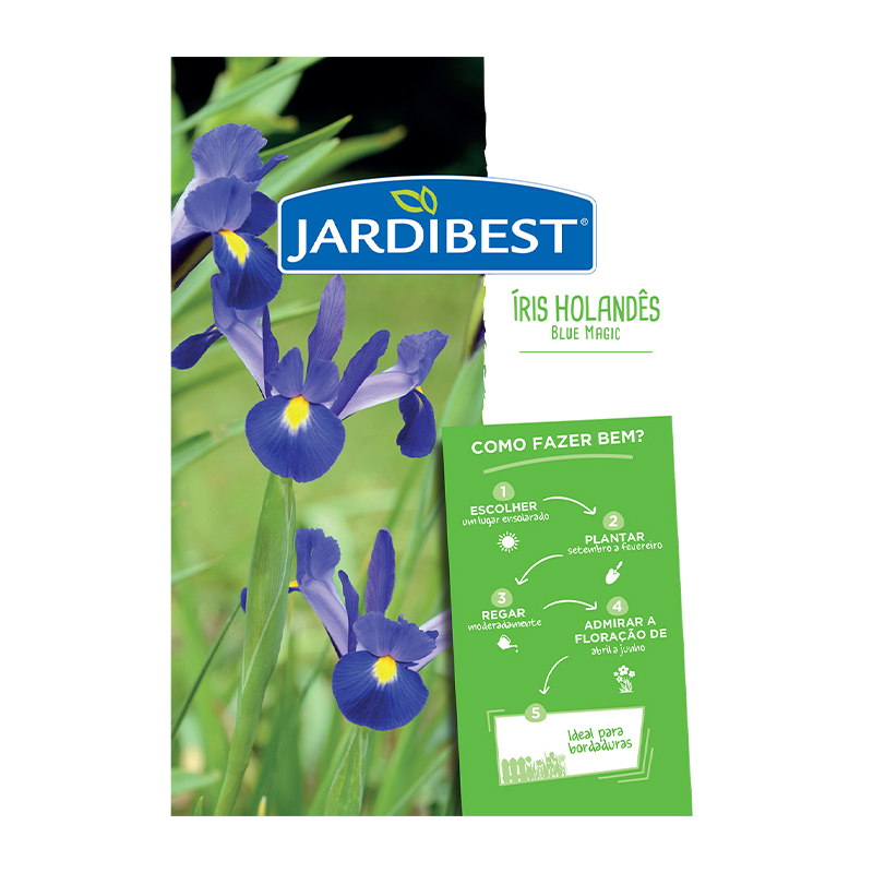 JARDIBEST - Bolbo Íris Holandês Blue Magic