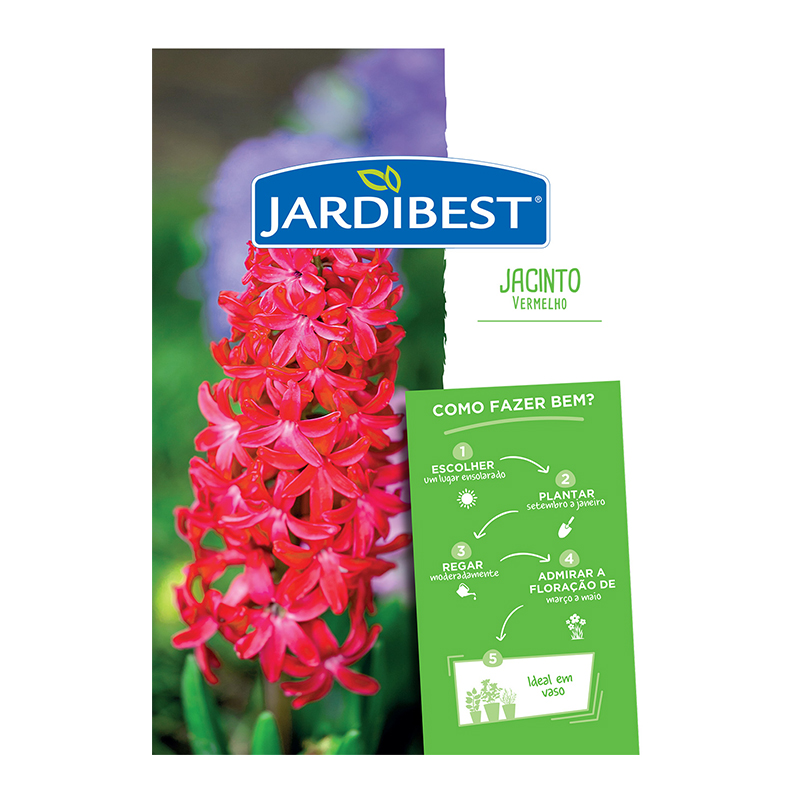 JARDIBEST - Bolbo Jacinto Vermelho