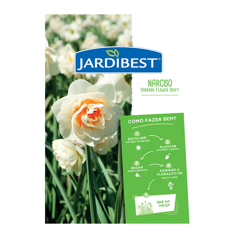 JARDIBEST - Bolbo Narciso Dobrado Flower Drift