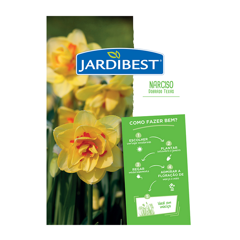 JARDIBEST - Bolbo Narciso Dobrado Texas