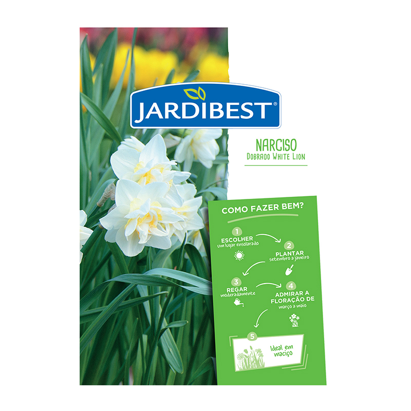 JARDIBEST - Bolbo Narciso Dobrado White Lion