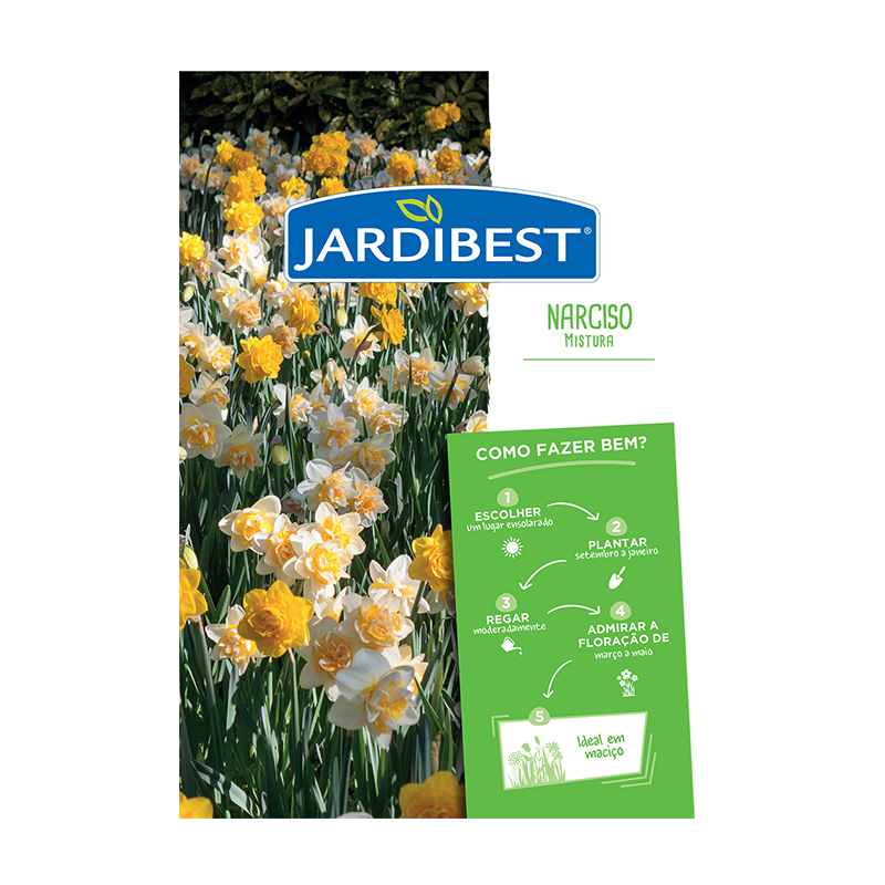 JARDIBEST - Bolbo Narciso Mistura