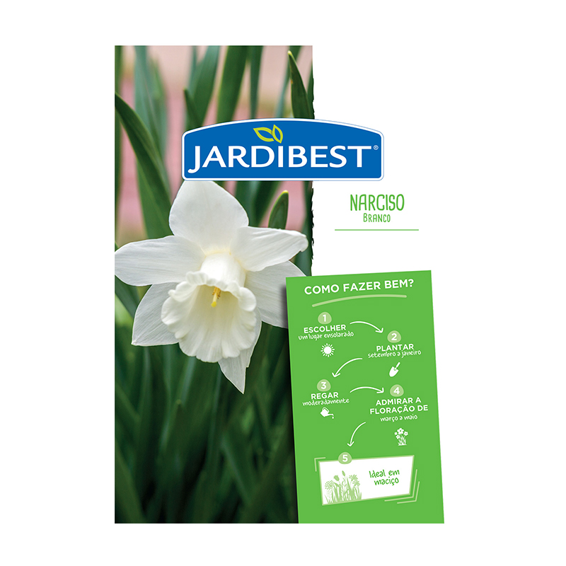 JARDIBEST - Bolbo Narciso Branco