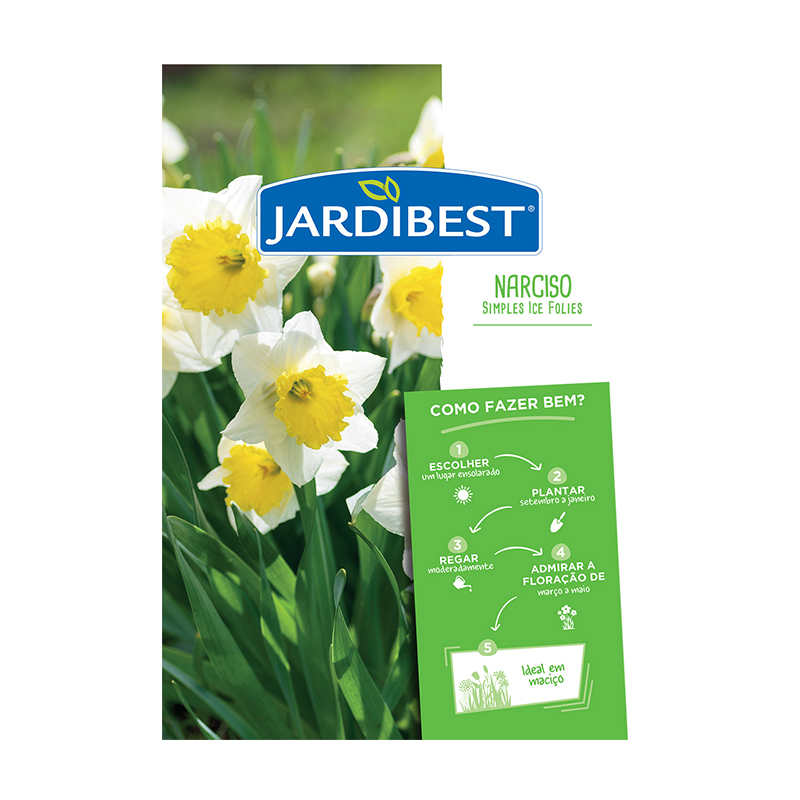 JARDIBEST - Bolbo Narciso Simples Ice Folies