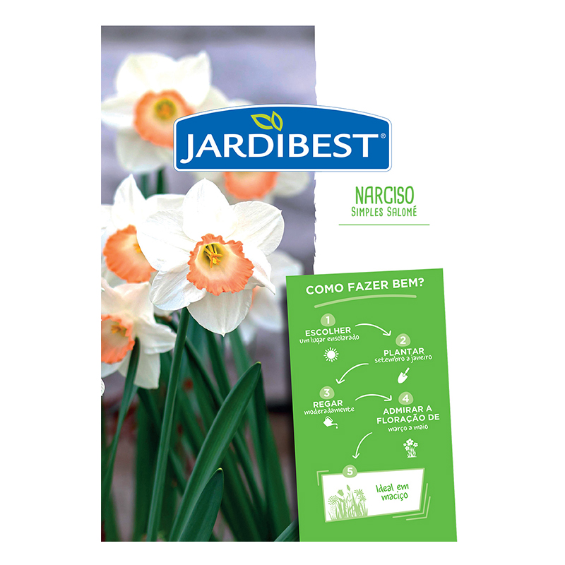 JARDIBEST - Bolbo Narciso Simples Salomé