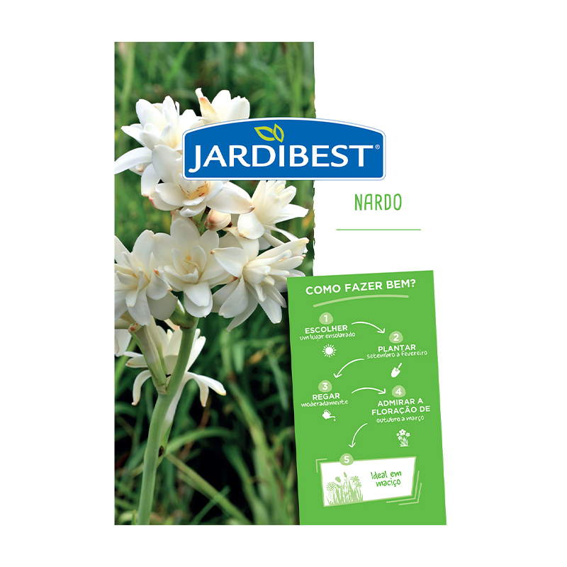 JARDIBEST - Bolbo Nardo