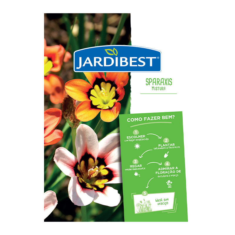 JARDIBEST - Bolbo Sparaxis Mistura