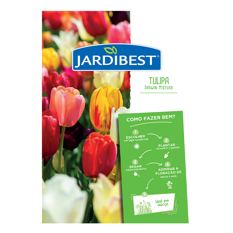 JARDIBEST - Bolbo Tulipa Darwin Mistura