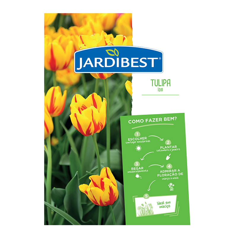 JARDIBEST - Bolbo Tulipa Ida