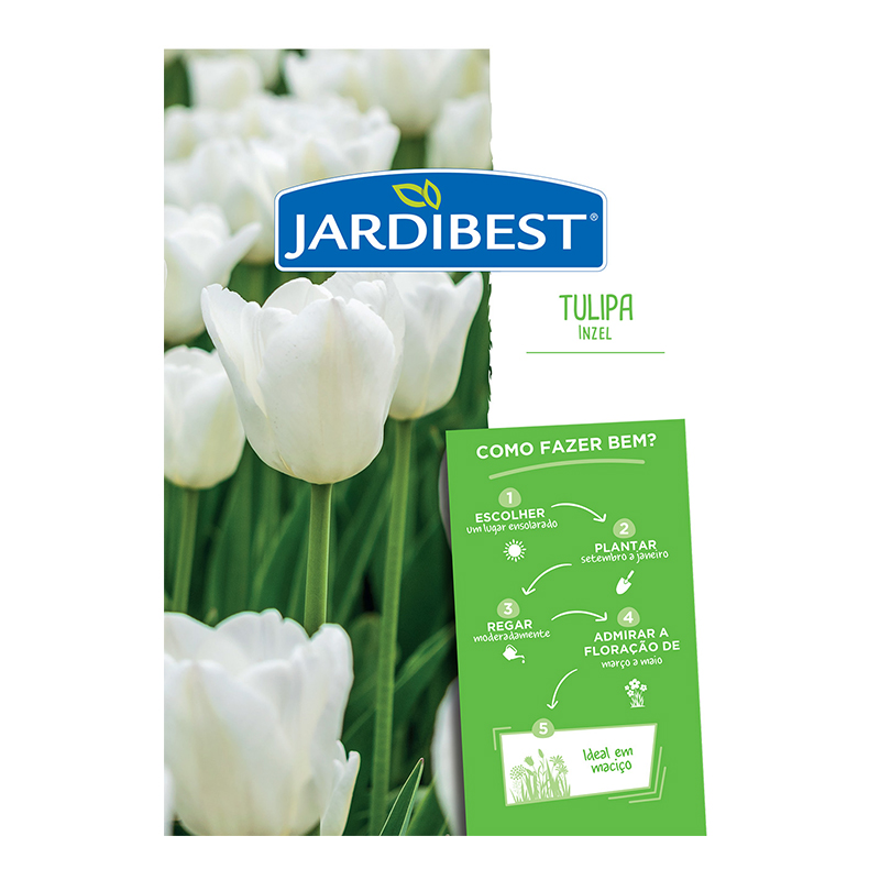 JARDIBEST - Bolbo Tulipa Inzel