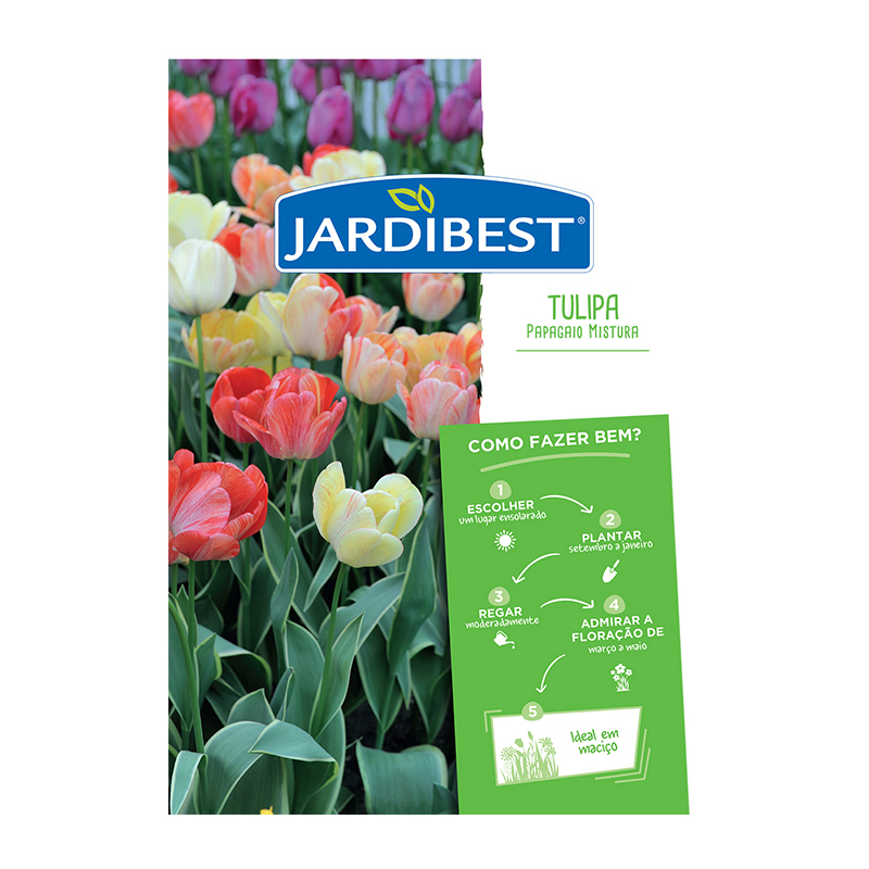 JARDIBEST - Bolbo Tulipa Papagaio Mistura