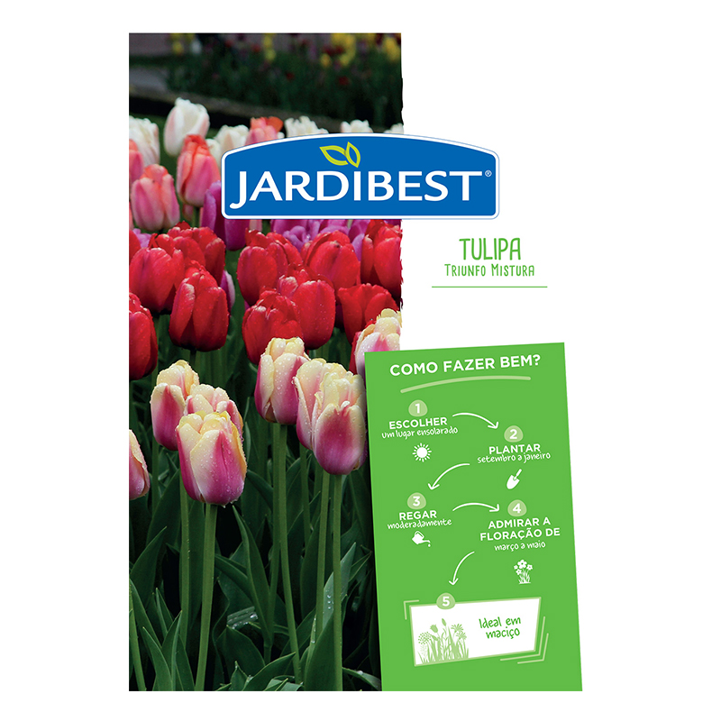 JARDIBEST - Bolbo Tulipa Triunfo Mistura