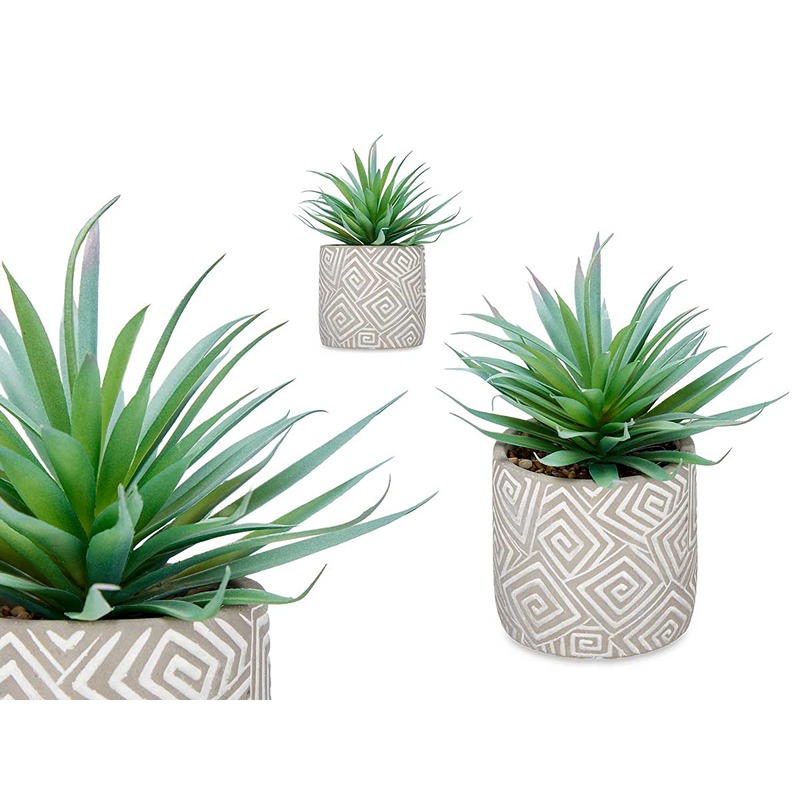 IBERGARDEN - Planta Vaso Cinzento