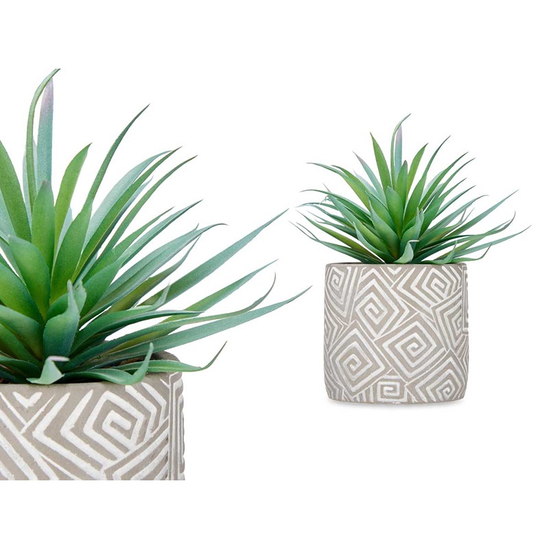 IBERGARDEN - Planta Vaso Cinzento